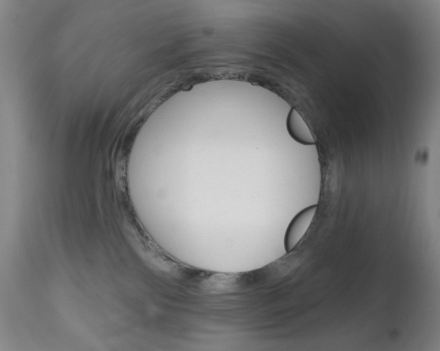 X0000111000138200906191153