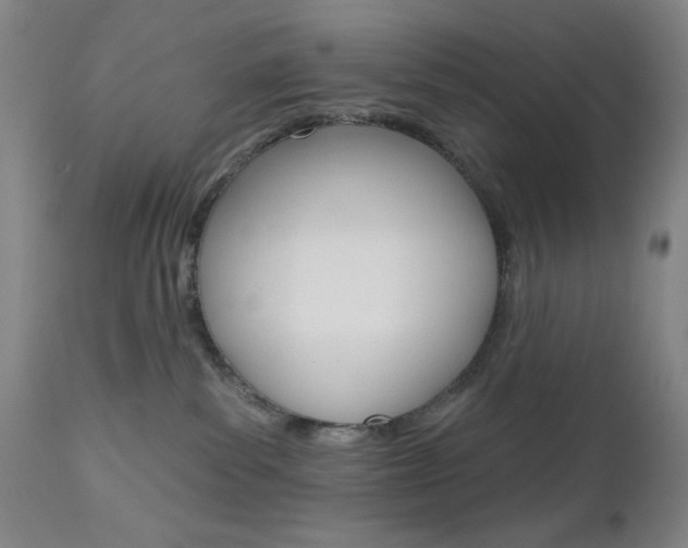 X0000111000139200906191153