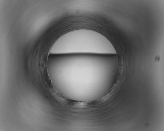 X0000111000140200906191153