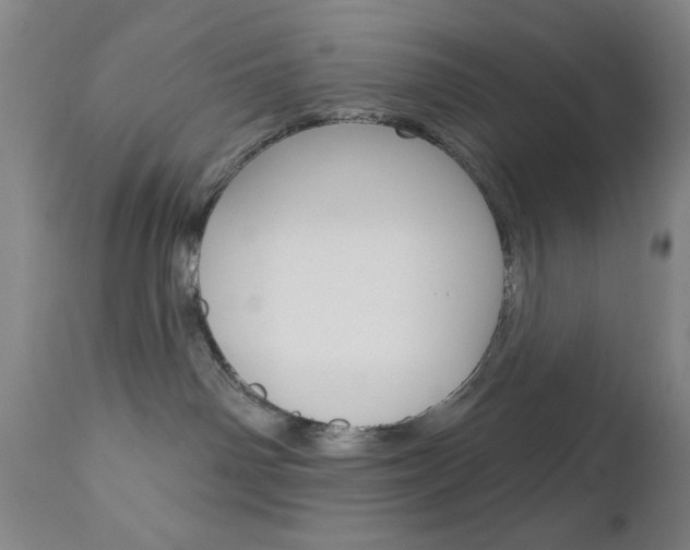 X0000111000142200906191153