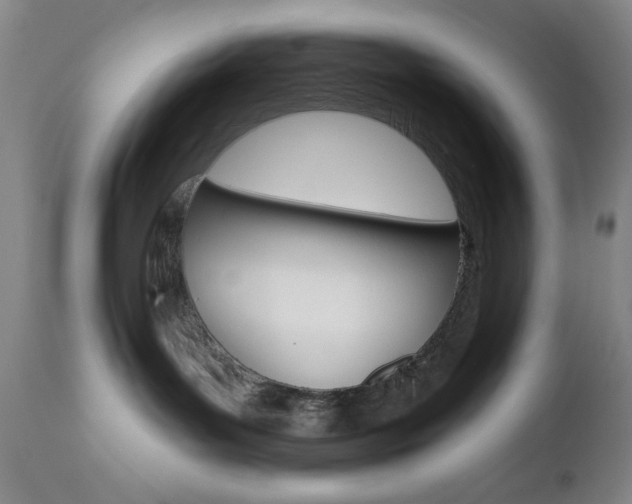 X0000111000143200906191153