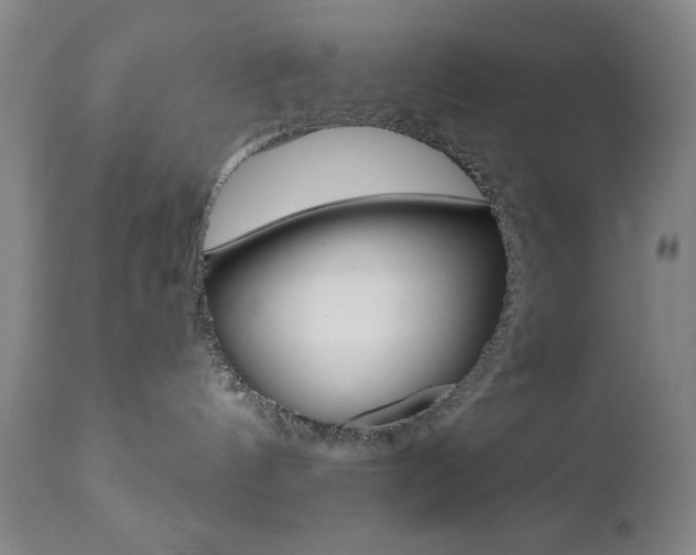 X0000111000144200906191153