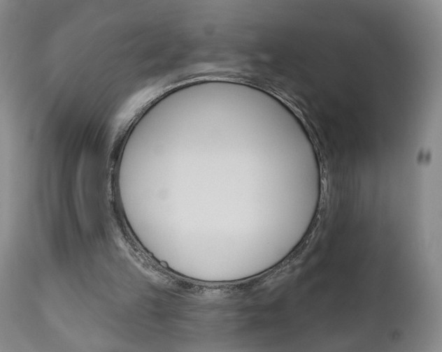X0000111000149200906191152
