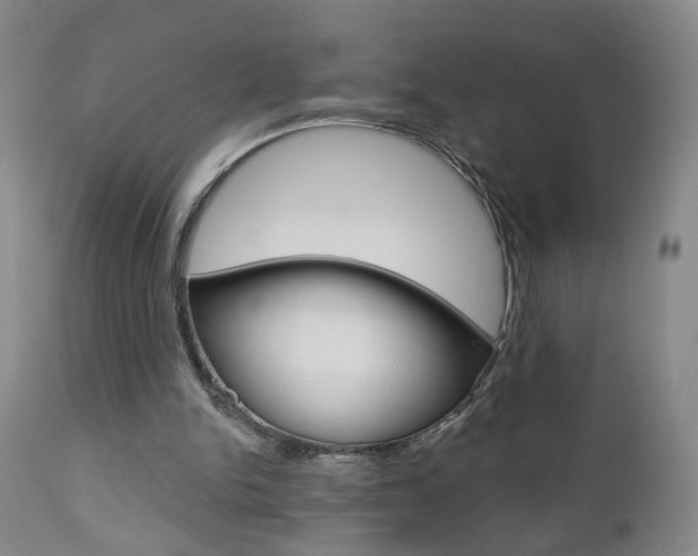 X0000111000150200906191152