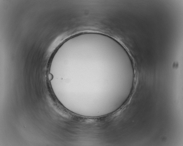 X0000111000151200906191152