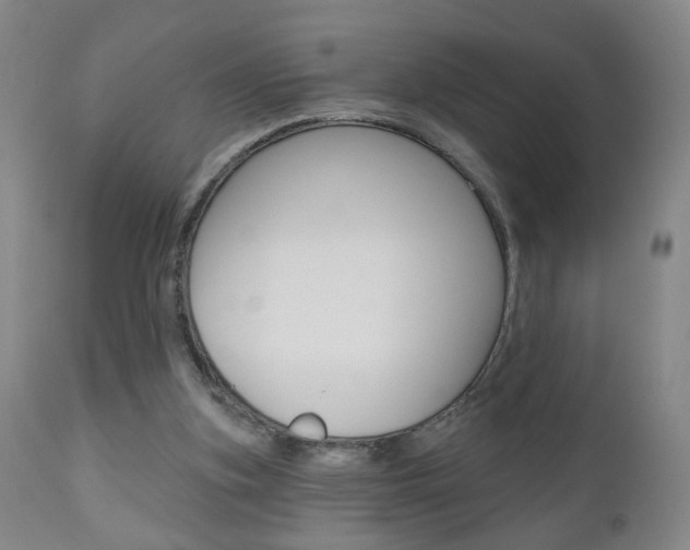 X0000111000155200906191152