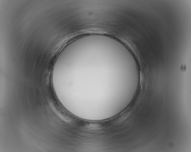 X0000111000157200906191152