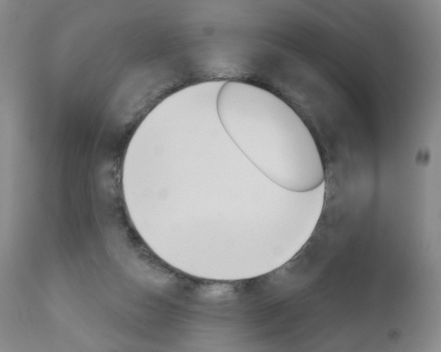 X0000111000162200906191152