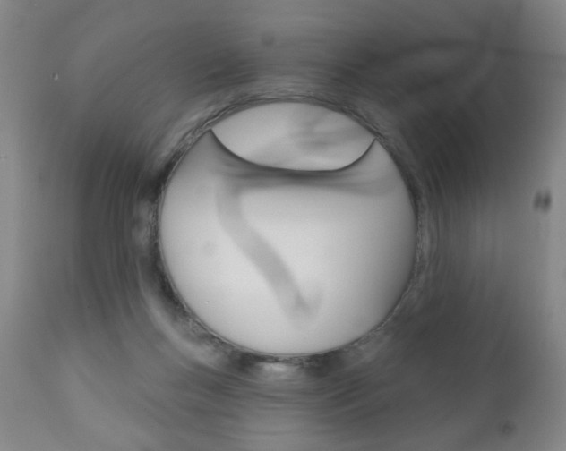 X0000111000167200906191152