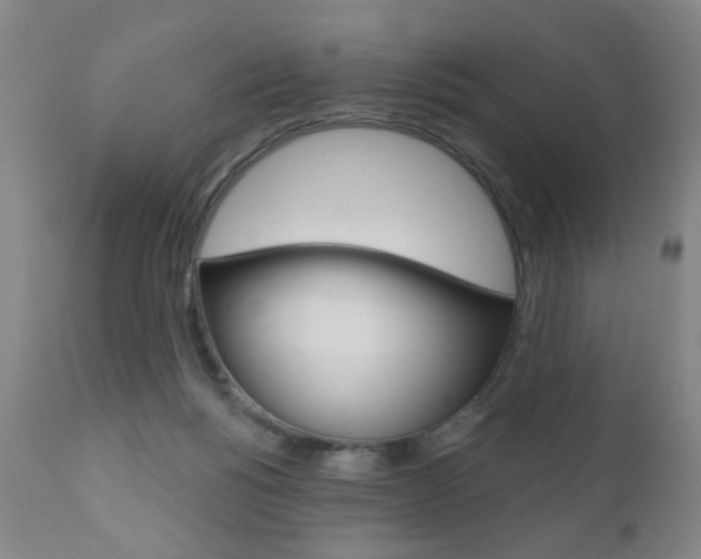 X0000111000168200906191152