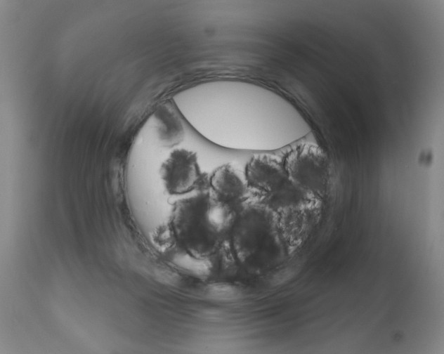 X0000111000169200906191152