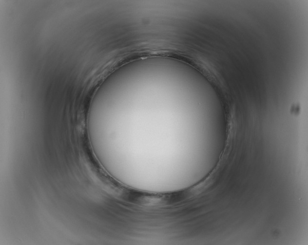 X0000111000170200906191152