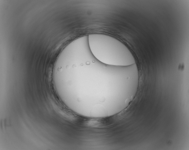 X0000111000171200906191152
