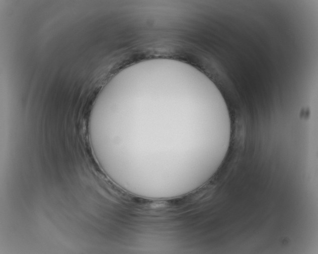 X0000111000173200906191152