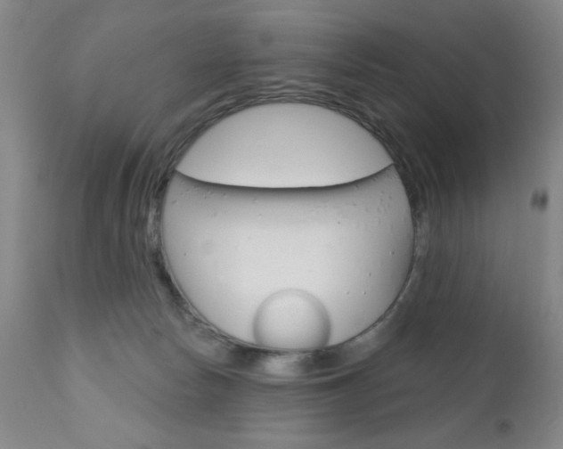 X0000111000178200906191152