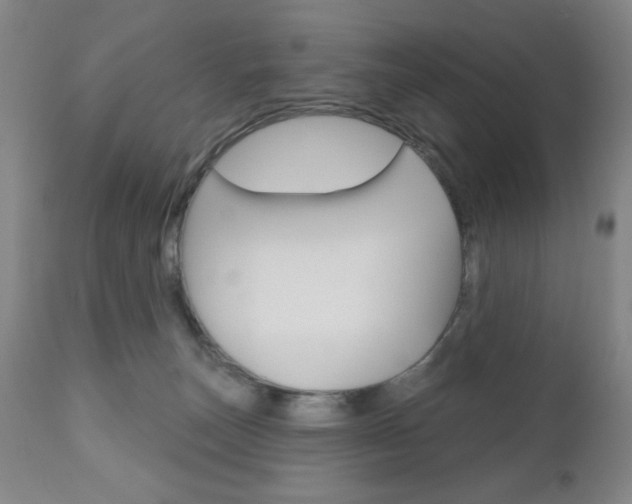 X0000111000179200906191152