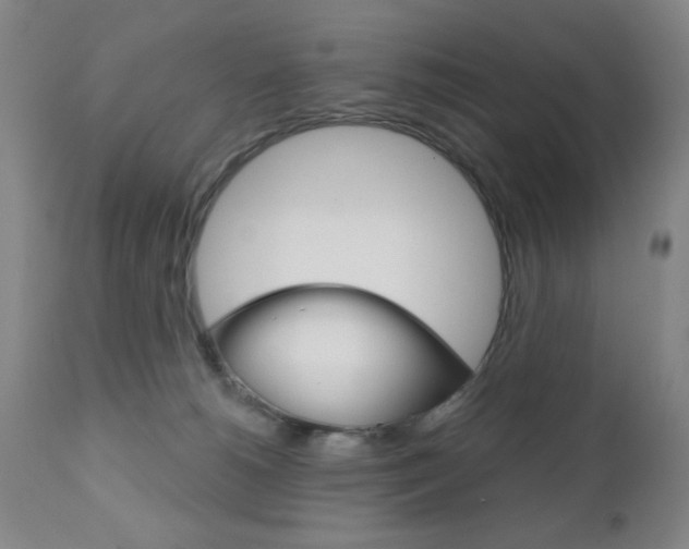 X0000111000180200906191152