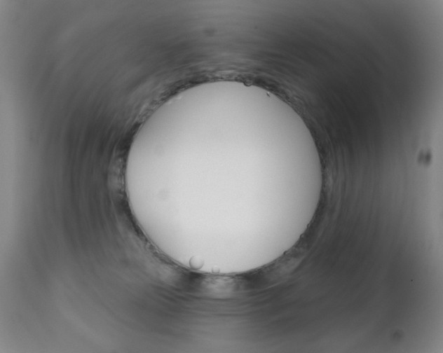 X0000111000181200906191152