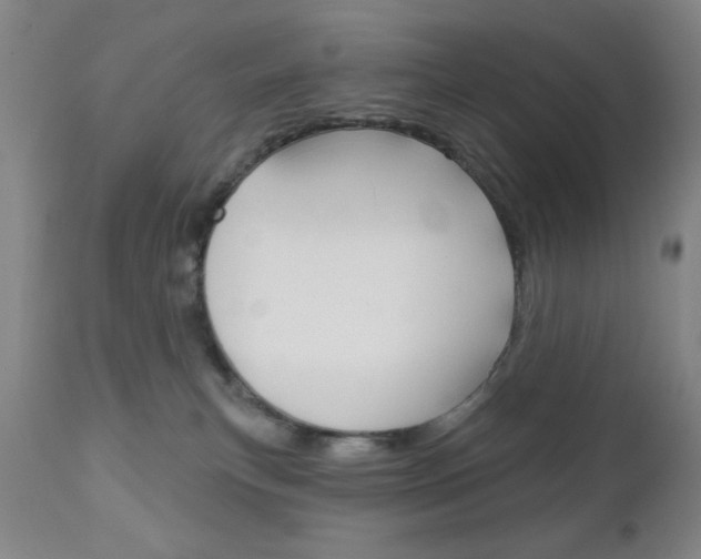 X0000111000183200906191152
