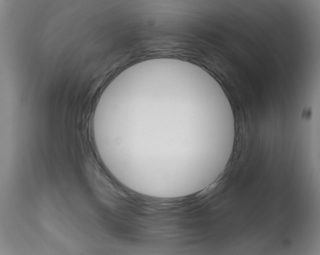 X0000111000184200906191152