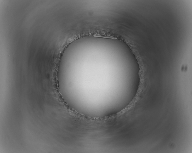 X0000111000192200906191153