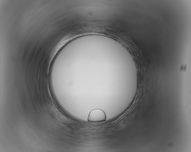 X0000111000195200906191151