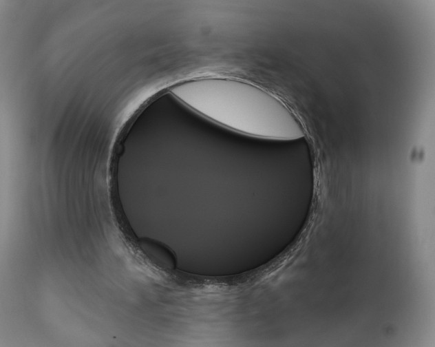 X0000111000196200906191151