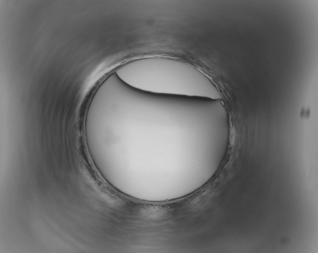 X0000111000198200906191151