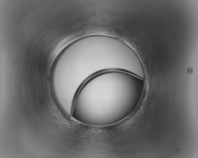 X0000111000199200906191151