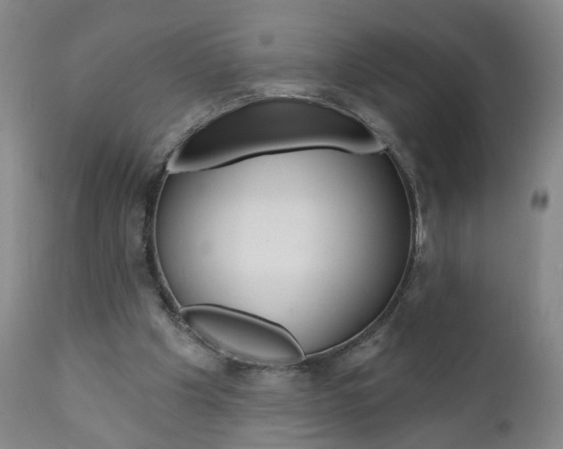 X0000111000201200906191151