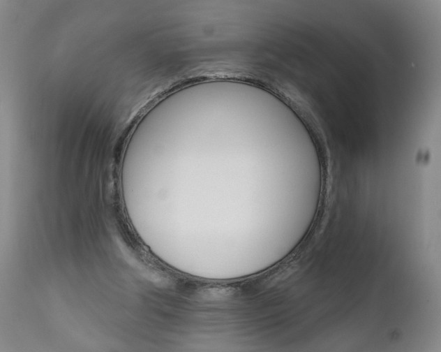 X0000111000202200906191151