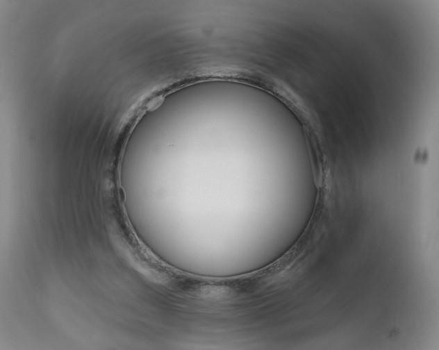 X0000111000203200906191151