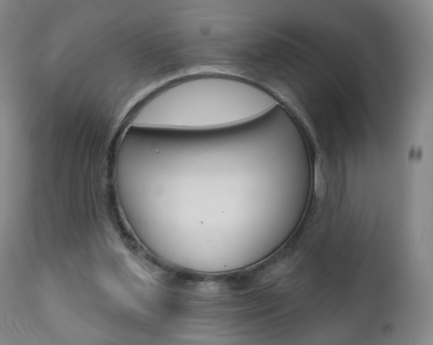X0000111000204200906191151