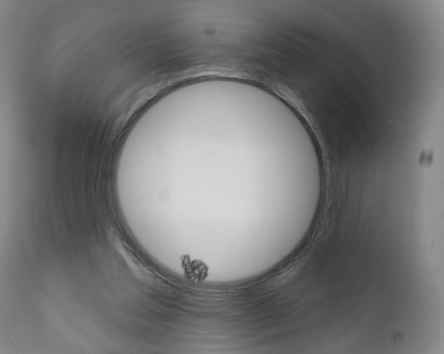X0000111000205200906191151