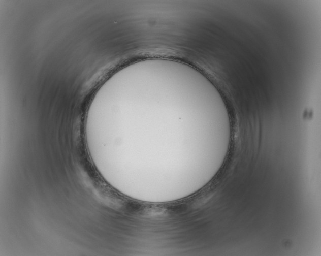 X0000111000206200906191151