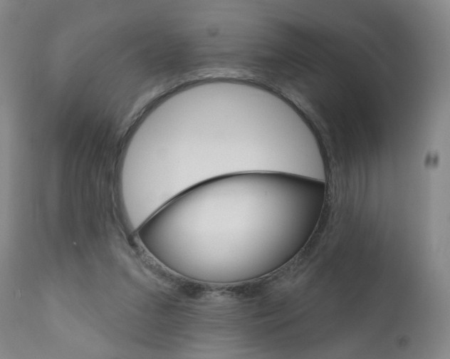 X0000111000207200906191151