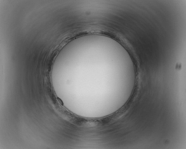 X0000111000209200906191151