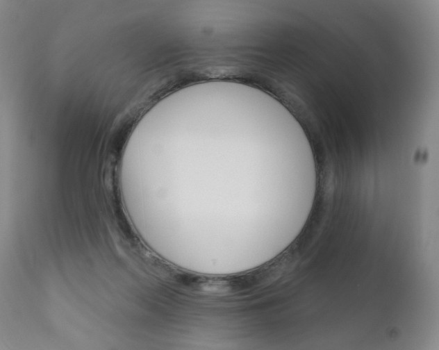 X0000111000214200906191151