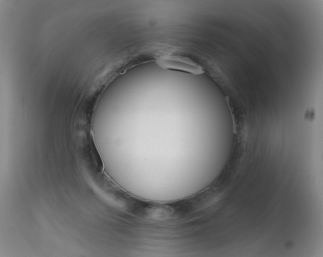 X0000111000215200906191151