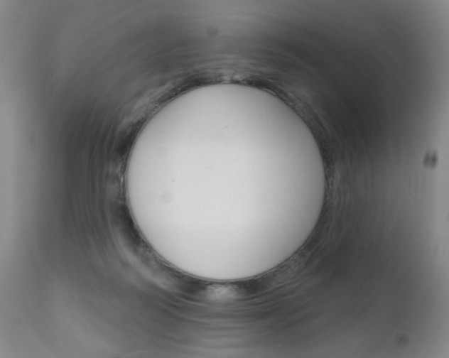 X0000111000218200906191151
