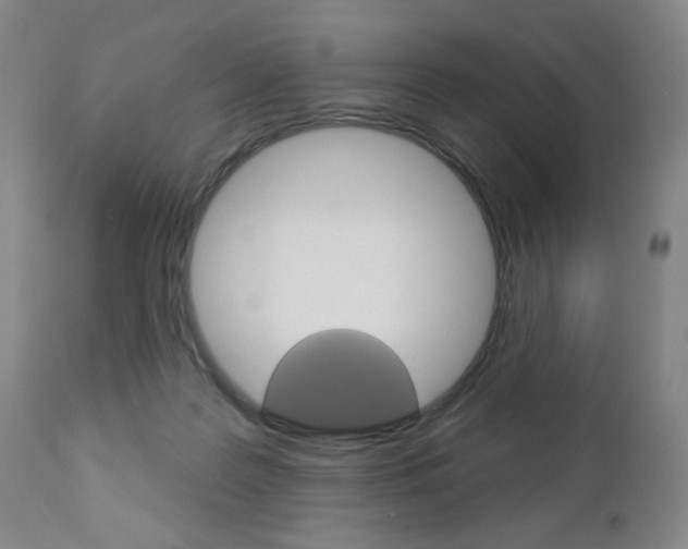X0000111000219200906191151