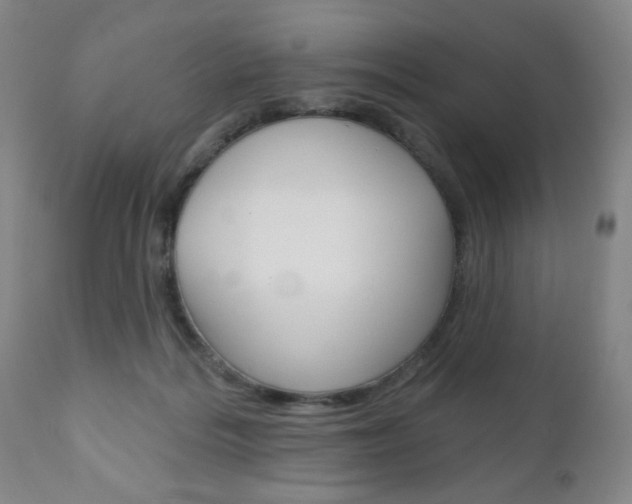 X0000111000220200906191151