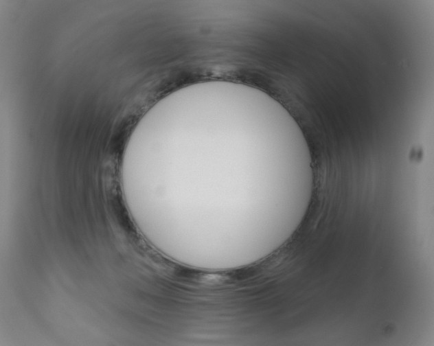 X0000111000222200906191151