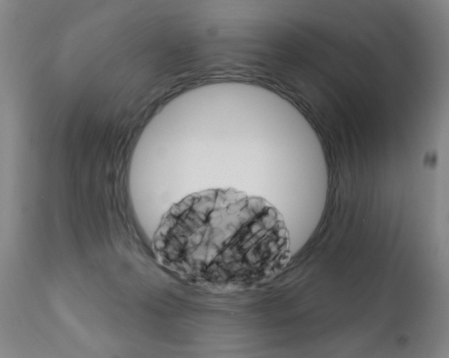 X0000111000223200906191151