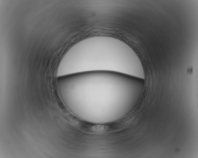 X0000111000225200906191151