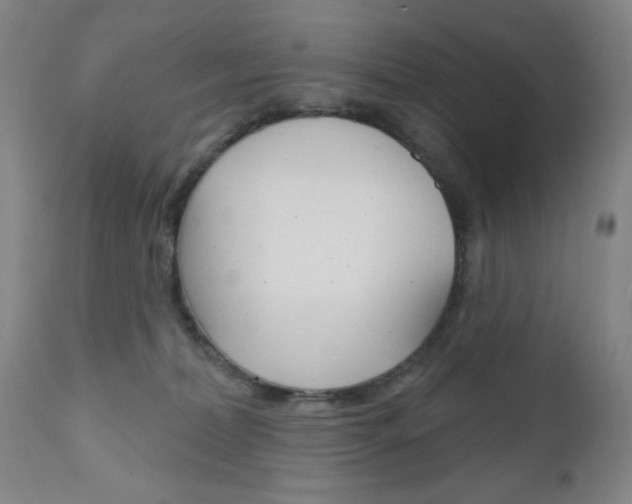 X0000111000228200906191151