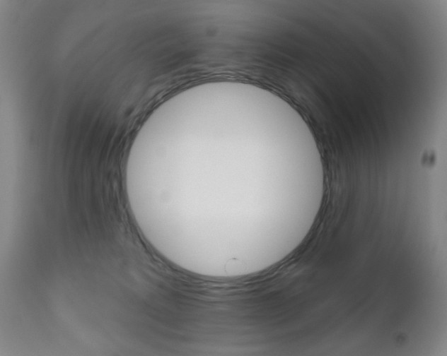 X0000111000229200906191151