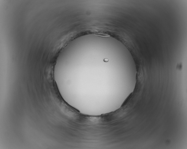 X0000111000233200906191151