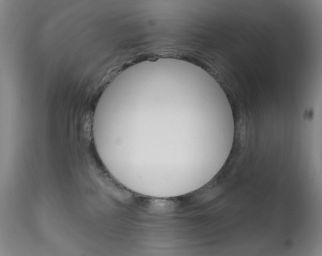 X0000111000234200906191151