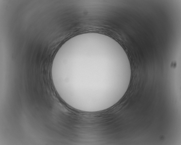 X0000111000235200906191151